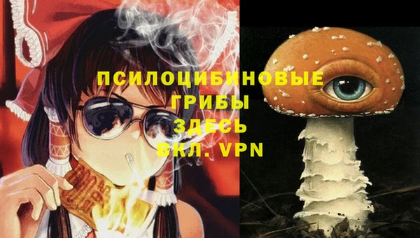 синтетический гашиш Арсеньев