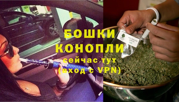 Альфа ПВП Аркадак