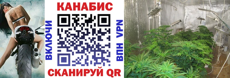 MEGA онион  Нея  Марихуана сатива 